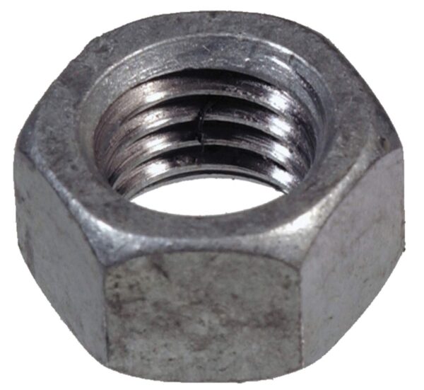 Galvanized Replacement Nut for Gate Hinge