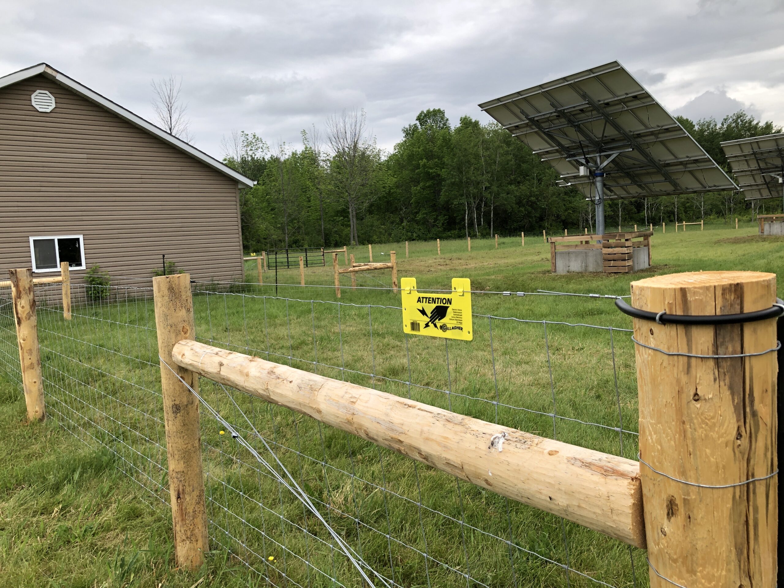 Horse Fence